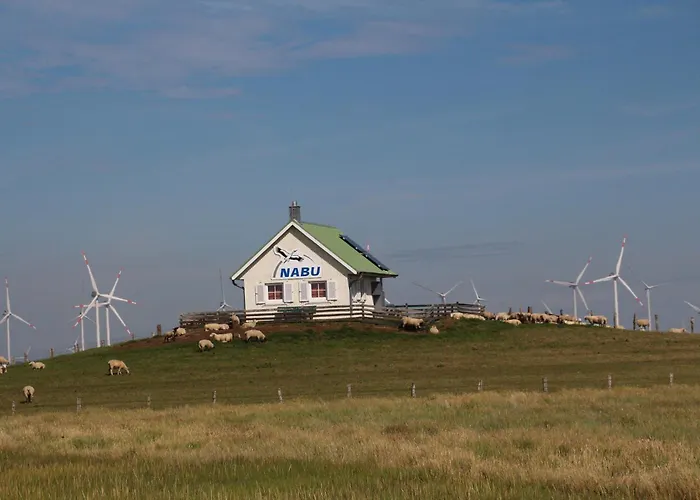 Marschblick * Reußenköge